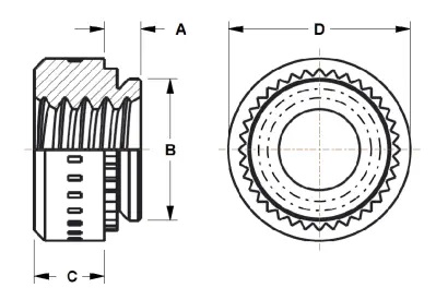 CFSP d